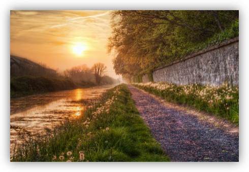 Sunset on the Royal Canal