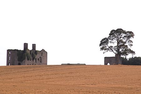 Rathcoffey Castle - Processed