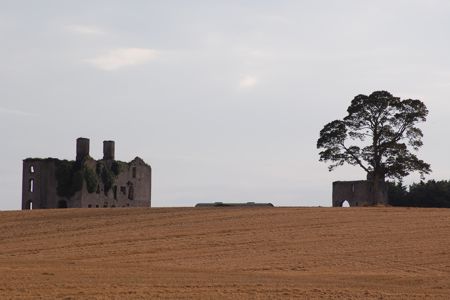 Rathcoffey Castle - Original