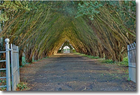 The Entrance to the College Cemetery, St. Patrick's College, Maynooth, Ireland