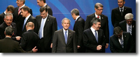 An Isolated WG Bush