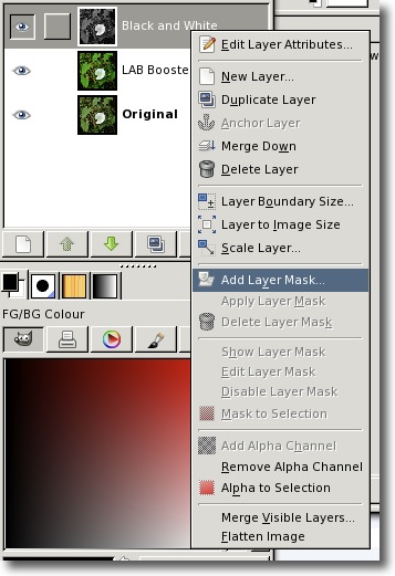 Add Layer Mask