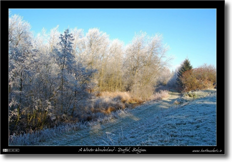 Winter Wonderland - Duffel, Belgium