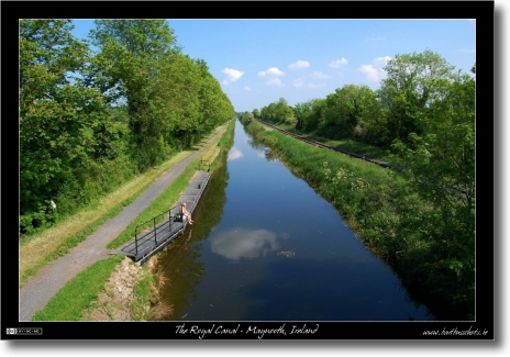 The Royal Canal