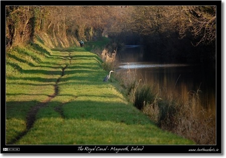 The Royal Canal