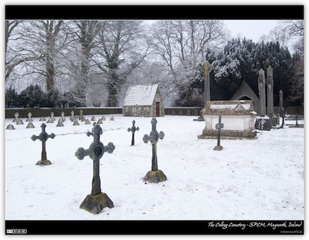 The College Cemetery - SPCM