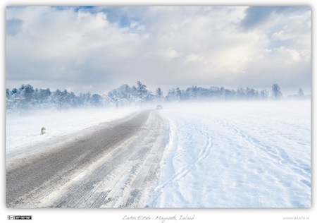 Out of the Mist - Carton Estate