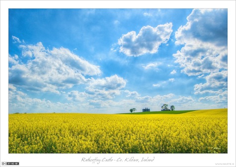 Big Summer Skies over Rathcoffey Castle