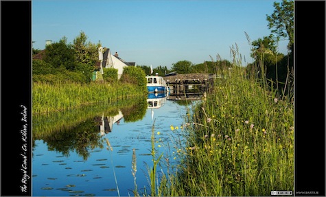 The Royal Canal