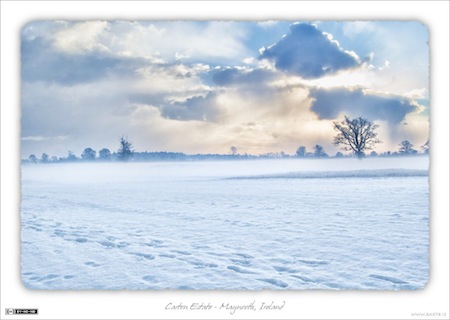 Snow in Carton