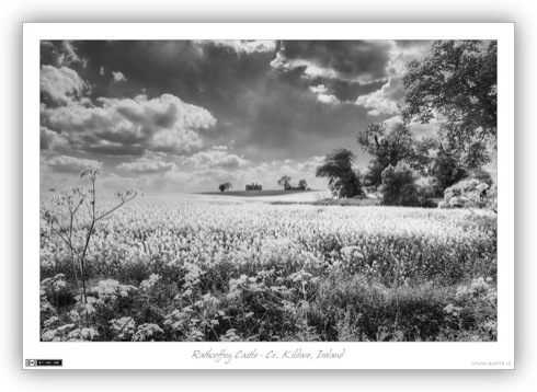 Summer in Rathcoffey