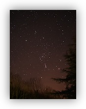 Orion