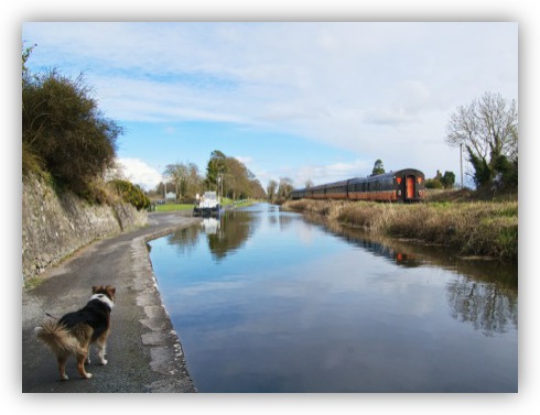 The Royal Canal Shuttle heads off into the distance