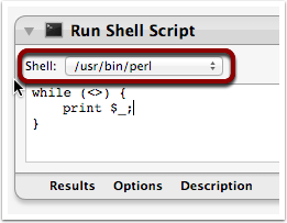 ConfigureRunShellScriptAction